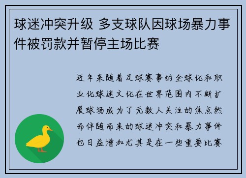 球迷冲突升级 多支球队因球场暴力事件被罚款并暂停主场比赛